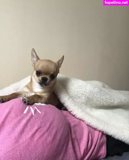 Pchan 666 OnlyFans Thumbnail #P7cikiCbvz