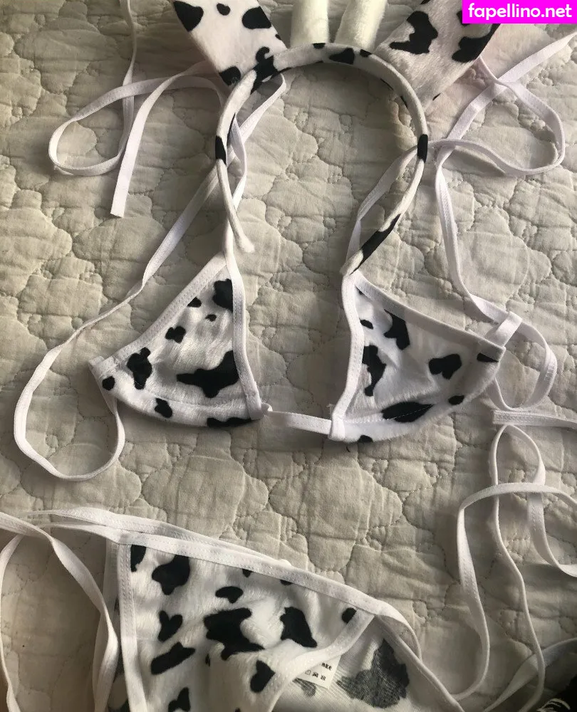 pchan030, pchan666 Nude Leaked OnlyFans Photo #oHLva6jSLn