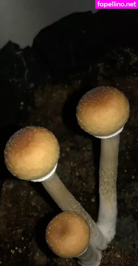 Peacheyscreams OnlyFans Thumbnail #w86NjTAxYf