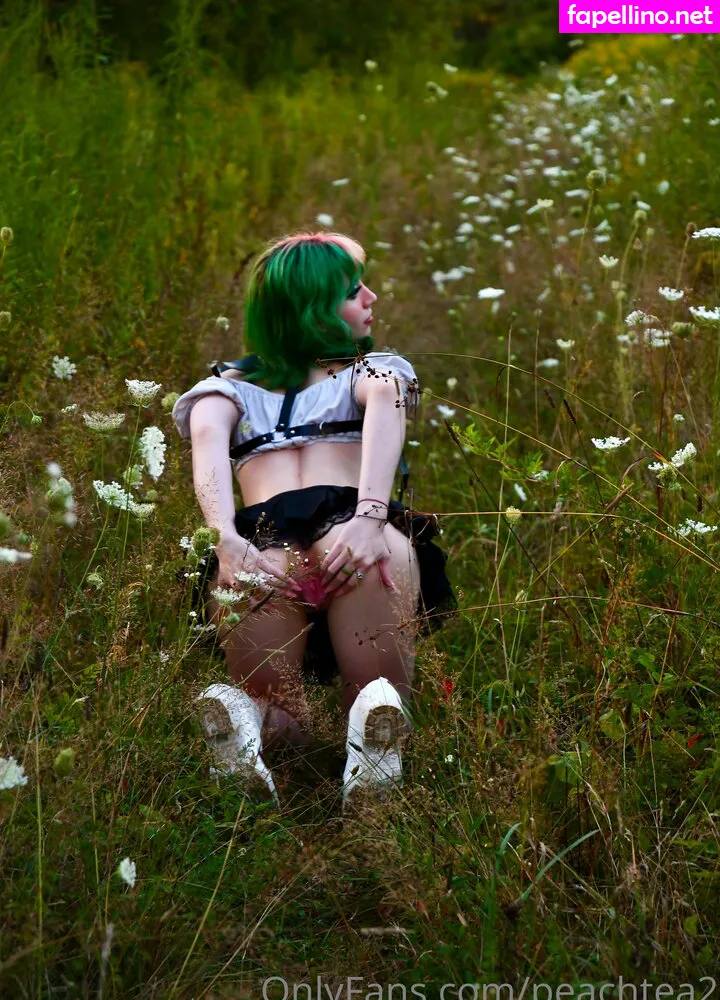 peachtea2, peachteaphotographyfilm Nude Leaked OnlyFans Photo #vGXzQpkrrq