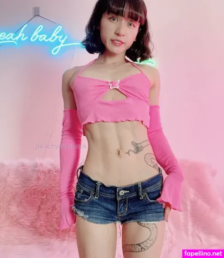 Peachy Catsnack Main Profile Photo