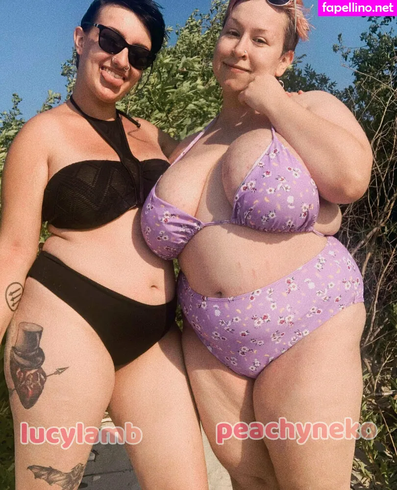 peachyneko, peachynekoo Nude Leaked OnlyFans Photo #LpNHmapu0W