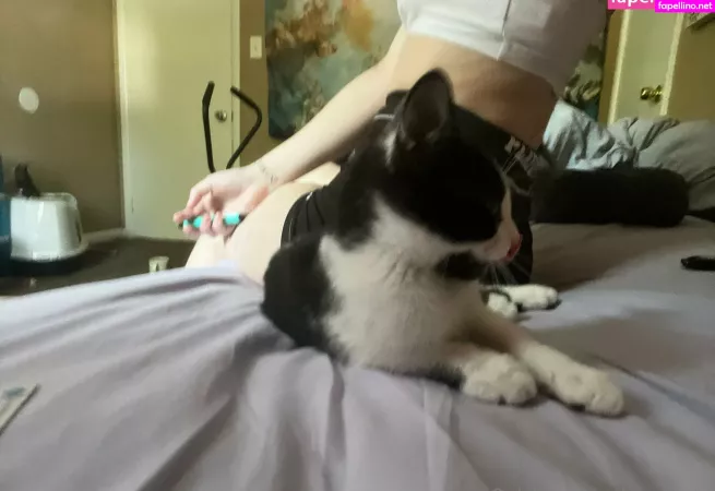 Peepdattt OnlyFans Thumbnail #wJ4UEvPPBS