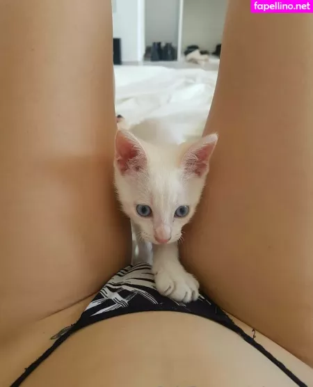 Peqqq OnlyFans Thumbnail #yKJDsJWI6f