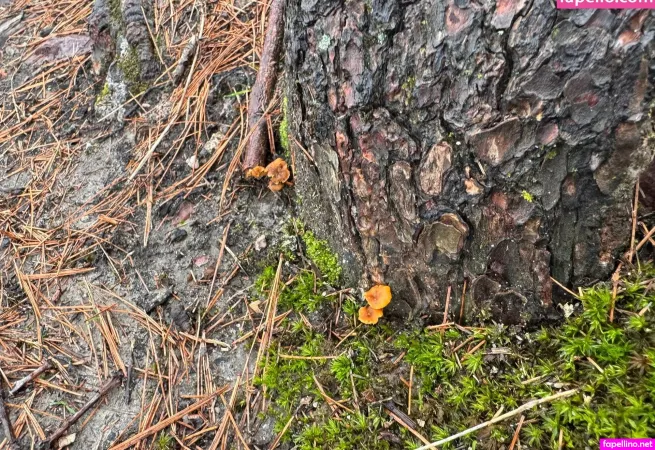 Perky Princess OnlyFans Thumbnail #MU3bnFRpnr