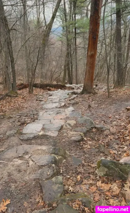 Perky Princess Main Profile Photo