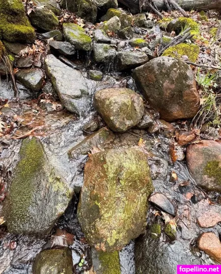 Perky Princess OnlyFans Thumbnail #nkBJGzVxiE