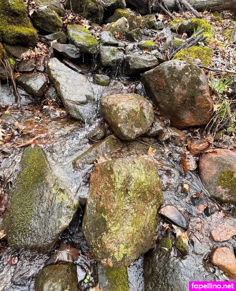 d_real_perky, perky-princess Nude Leaked OnlyFans Photo #nkBJGzVxiE