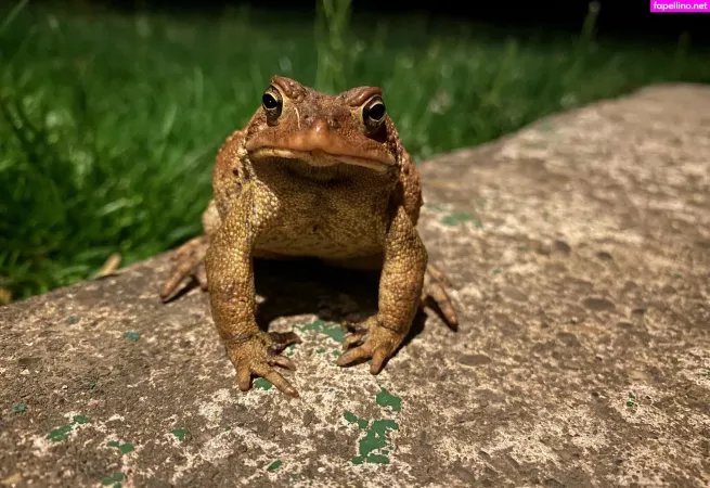 Persephone27x OnlyFans Thumbnail #2GZu958A3b