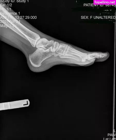 Persephone27x OnlyFans Thumbnail #KshhrcoSpf