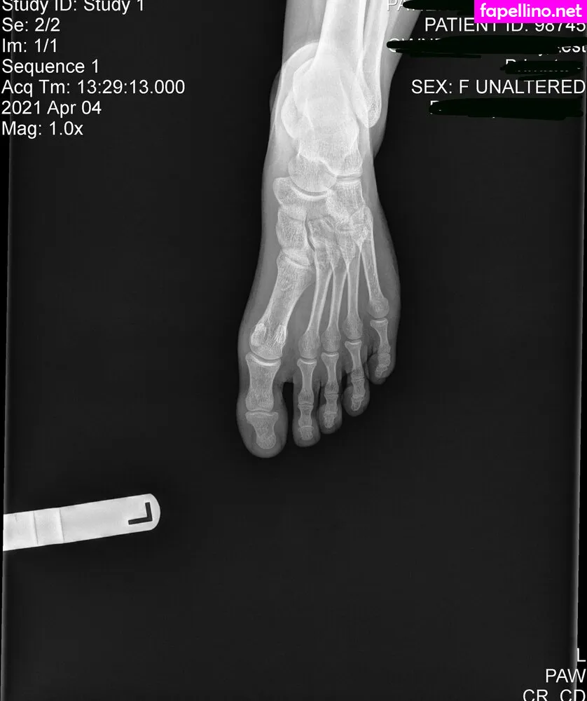 persephone27x Nude Leaked OnlyFans Photo #YwT53pc8fd