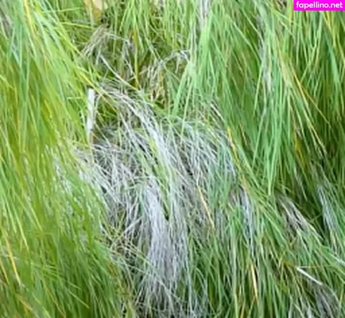 Petra Verkaik OnlyFans Thumbnail #GNc2J9V898