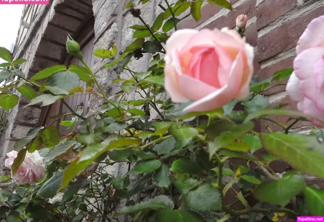 Phantazia OnlyFans Thumbnail #G4yH1HzEep