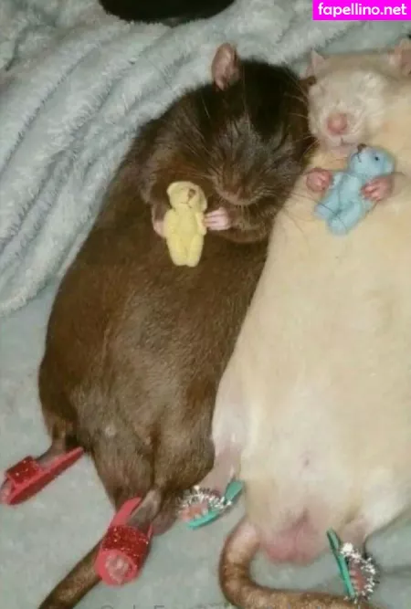 Phat Whale OnlyFans Thumbnail #L3PU8nCNNs