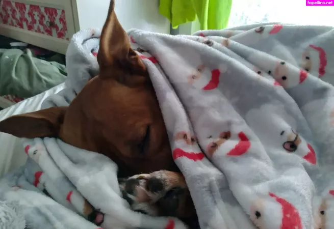 Phoebefatter OnlyFans Thumbnail #owTRxE833g