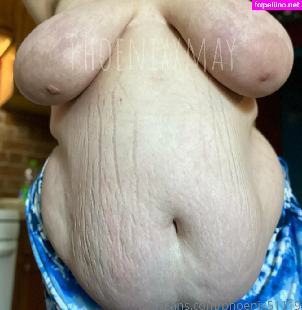 phoenix51119 Nude Leaked OnlyFans Photo #h3SxamSUfV