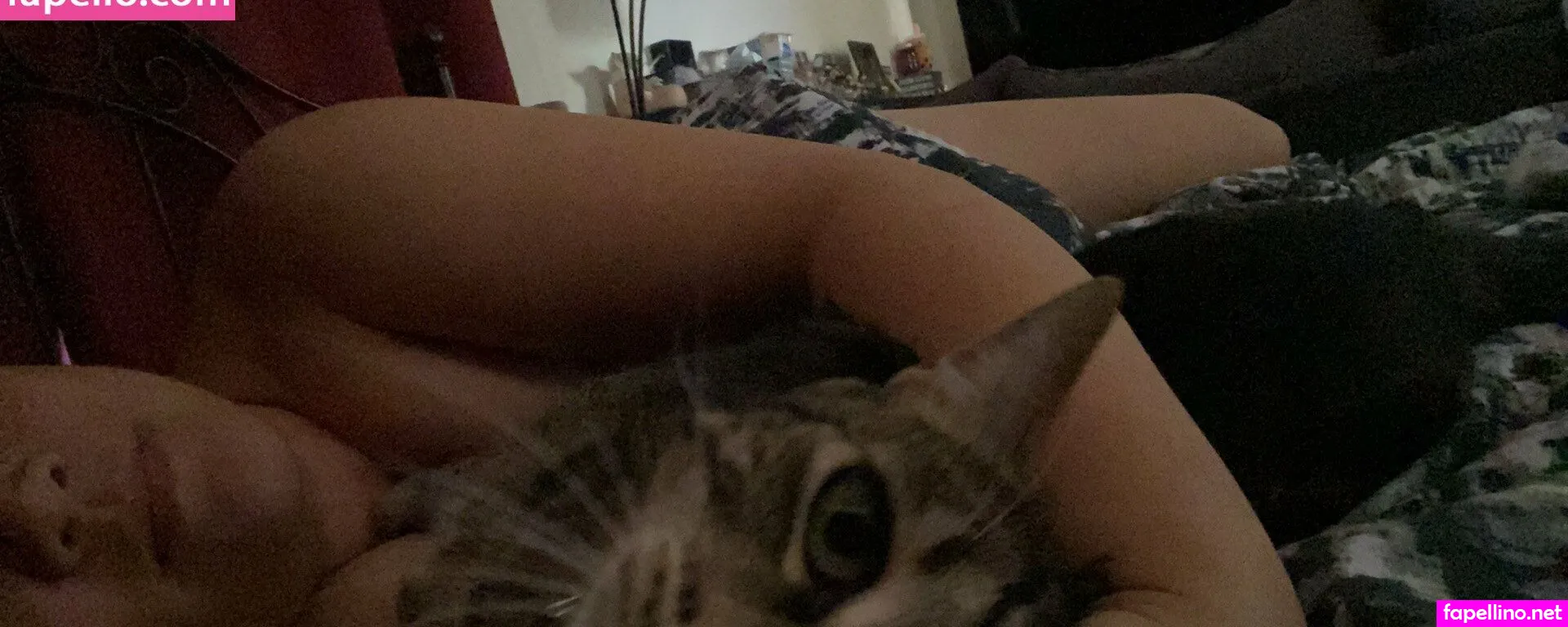 phoenixxblossom Nude Leaked OnlyFans Photo #vKbxVQLIPs