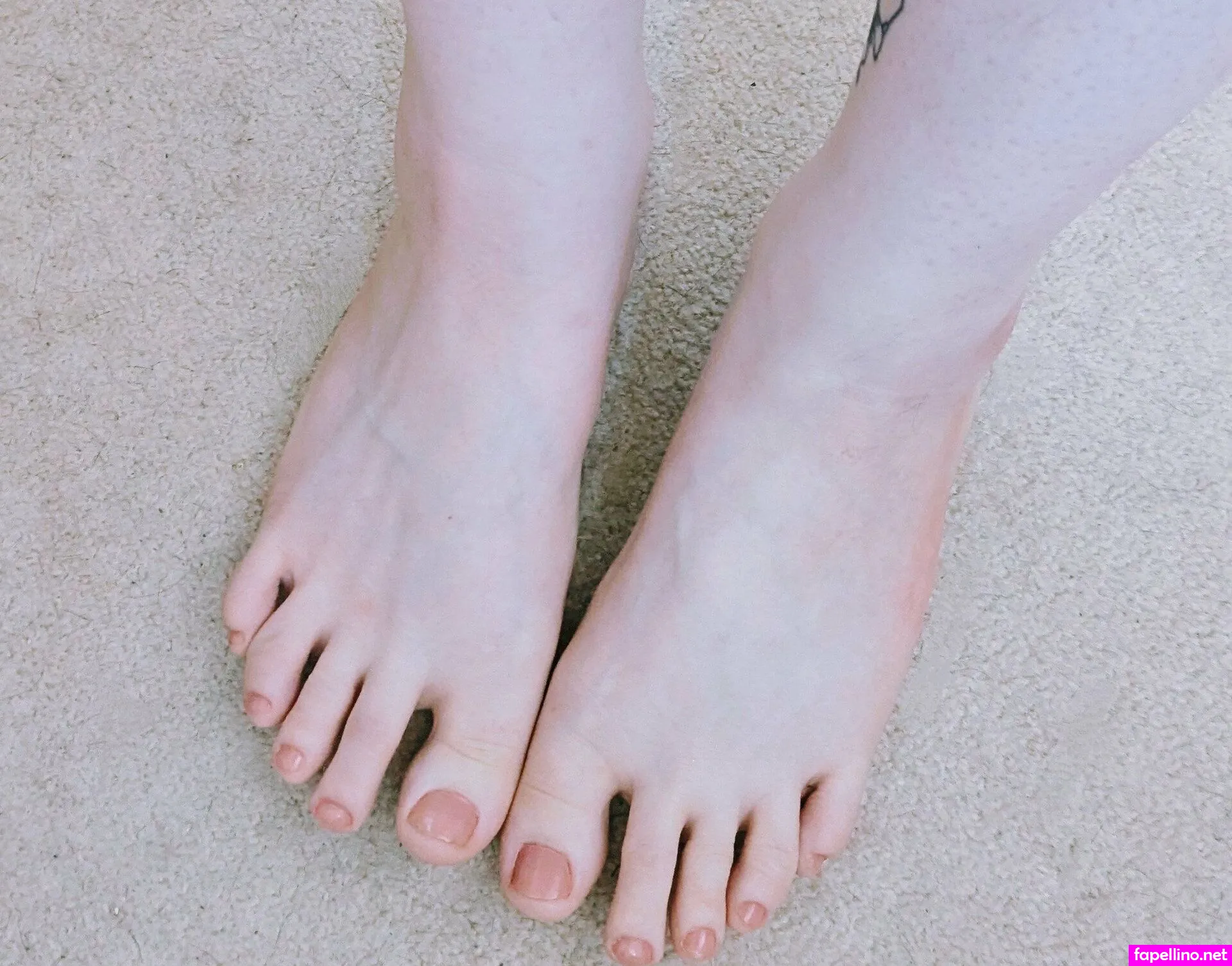 PhoenyxVT, officiallyphoenyx Nude Leaked OnlyFans Photo #no7ikS85Gg