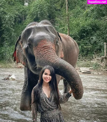 Pingthai OnlyFans Thumbnail #dhTnvdTrB4