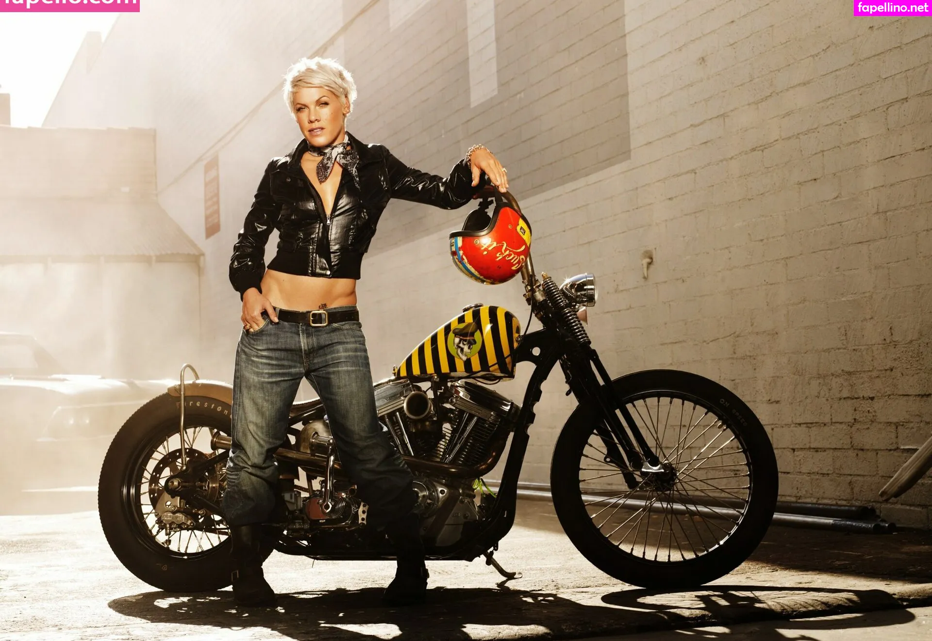 Alecia Beth Moore, Pink, pinksuicide Nude Leaked OnlyFans Photo #EXZg2NlIgF