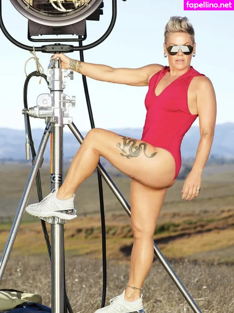 Alecia Beth Moore, Pink, pinksuicide Nude Leaked OnlyFans Photo #HT4MiCOyJU