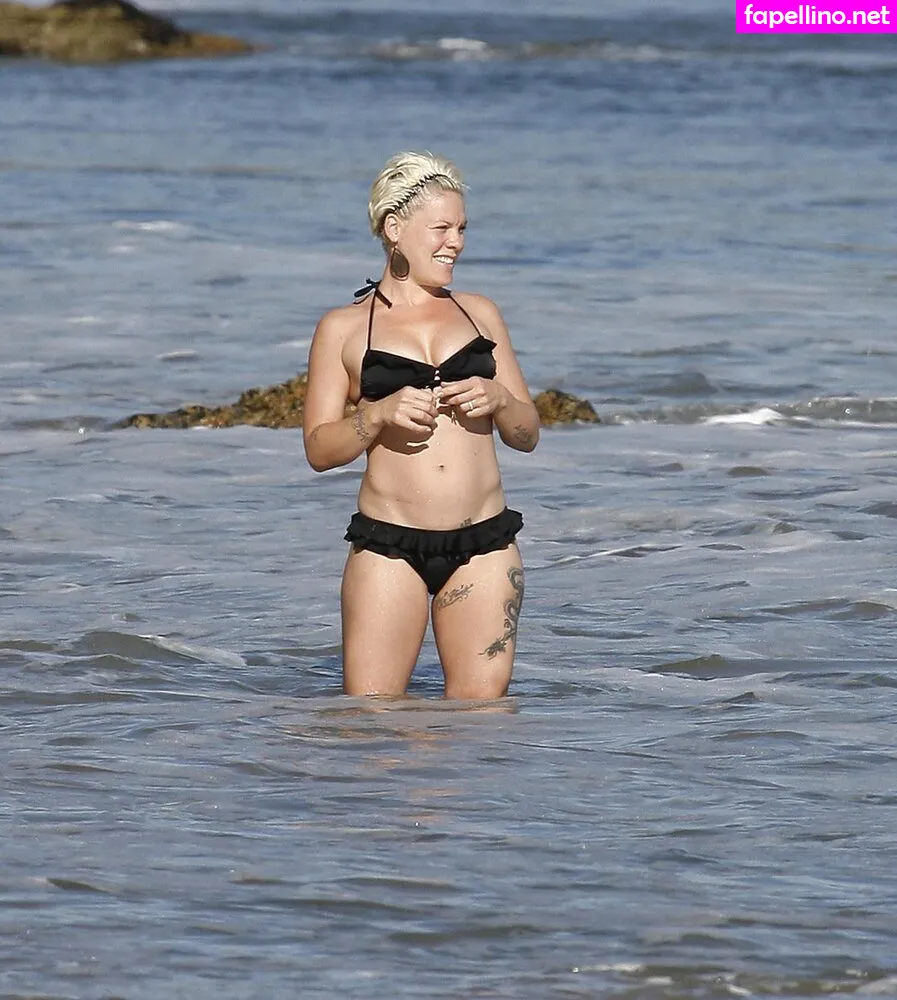 Alecia Beth Moore, Pink, pinksuicide Nude Leaked OnlyFans Photo #TIq5TJHc0P