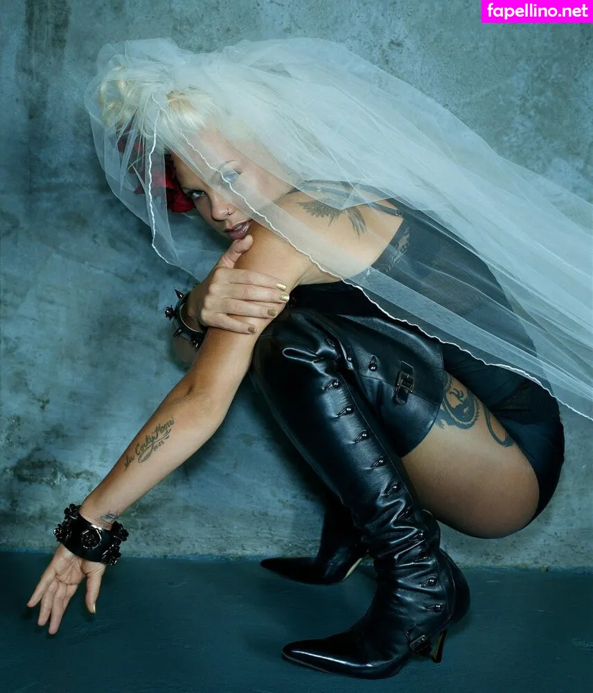 Alecia Beth Moore, Pink, pinksuicide Nude Leaked OnlyFans Photo #hyv6QjkyIa