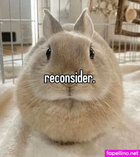 Pinkchyuwu Main Profile Photo