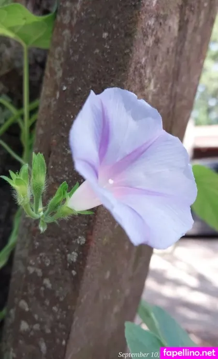 Pinkplushieplants OnlyFans Thumbnail #5GhcJBhmt1