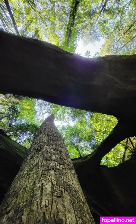 Pinkplushieplants OnlyFans Thumbnail #SLpOBauS6e