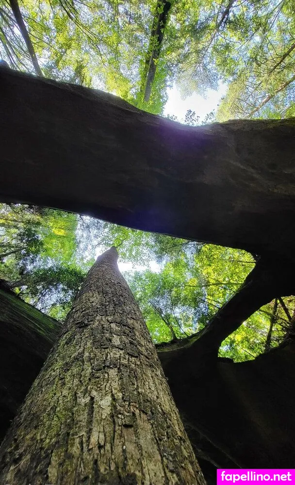 pinkplushieplants, plantsonpink Nude Leaked OnlyFans Photo #SLpOBauS6e