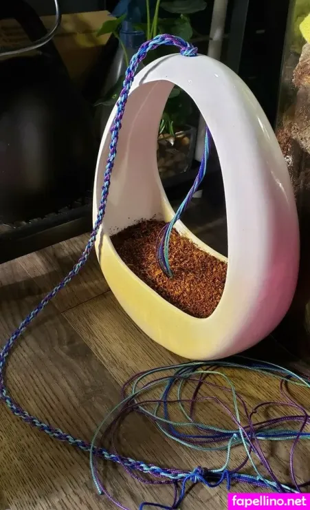 Pinkplushieplants OnlyFans Thumbnail #mGe7571YuE