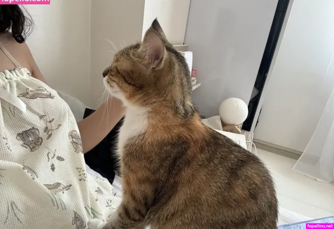 Pishipishiani OnlyFans Thumbnail #kZfMj6mUdP