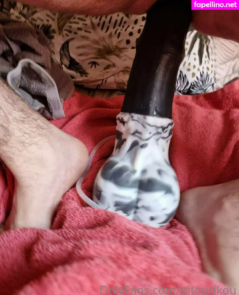 pitou.rikou, pitourikou Nude Leaked OnlyFans Photo #1pIS76Qp2i