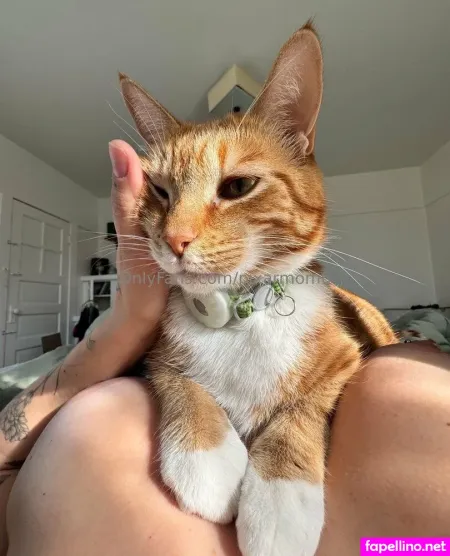 Pixarmom6 OnlyFans Thumbnail #DqrbFVhelk