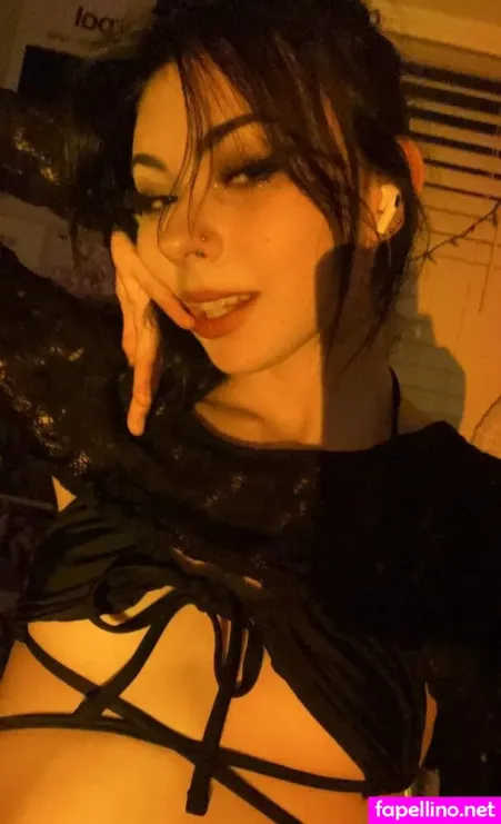 Pizzl1zard Aphextwink96 Main Profile Photo