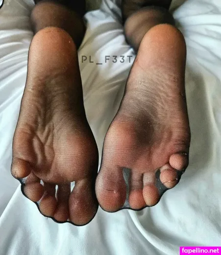 Pl F33t Main Profile Photo