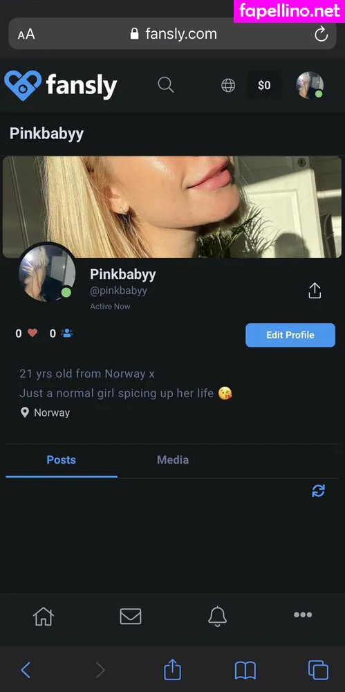 plnkbabi, plnpnk_ Nude Leaked OnlyFans Photo #1dvai1wski