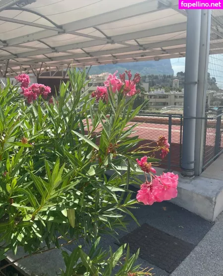 Pollylittlecaprice OnlyFans Thumbnail #5tqAFO37mI