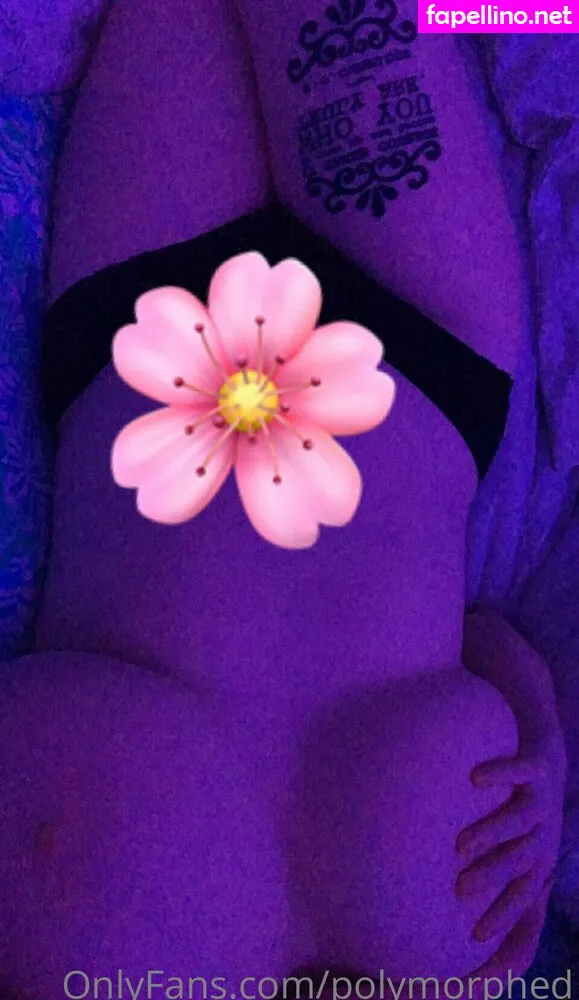 polymorphed, polymorphmusic Nude Leaked OnlyFans Photo #i6kye5tbCE