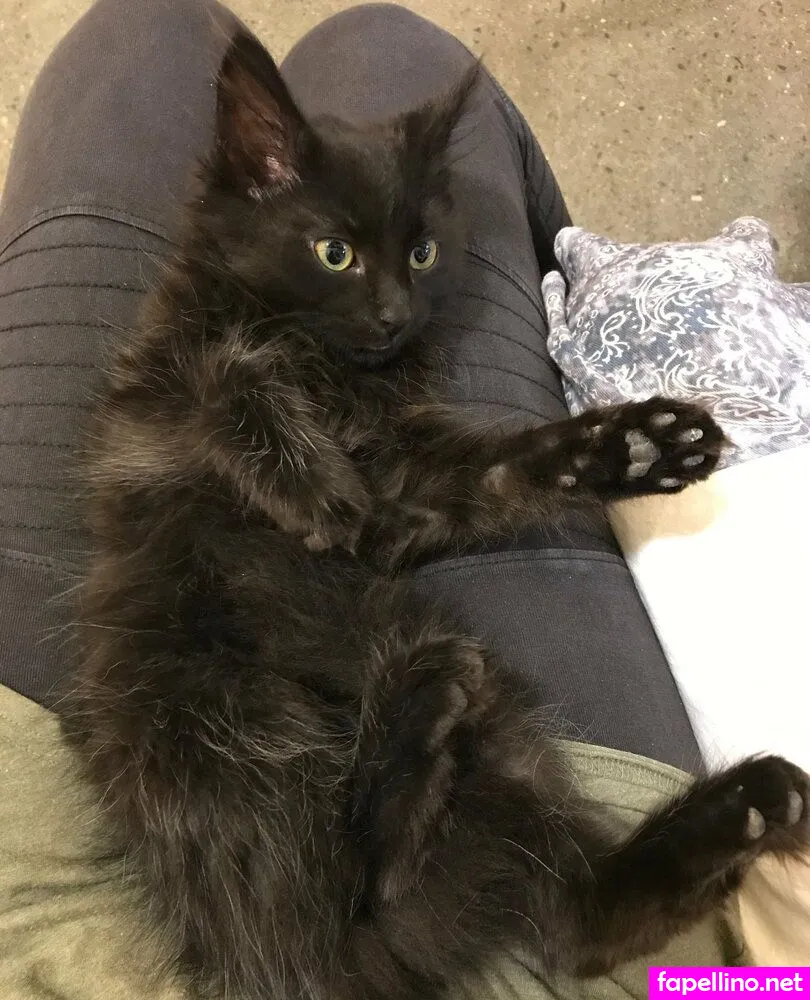 portofbones Nude Leaked OnlyFans Photo #WDI82aVBiD