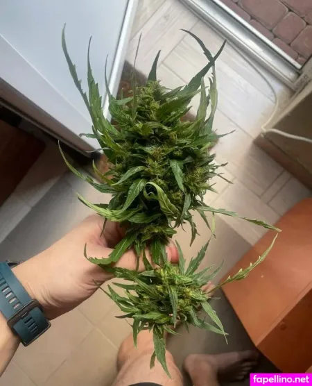 Povidlo7 OnlyFans Thumbnail #FuvRxsI464