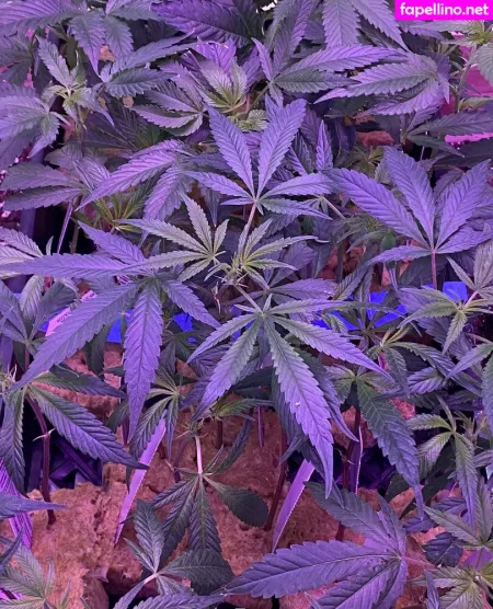 Powerfulclit OnlyFans Thumbnail #ntu99a15b3