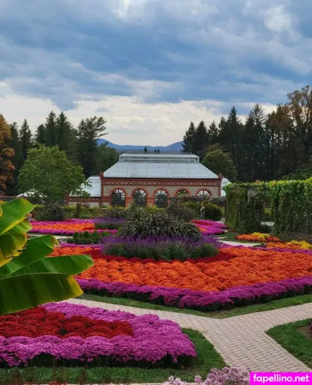 Powerofsuggestion OnlyFans Thumbnail #xGUkYMd0N3