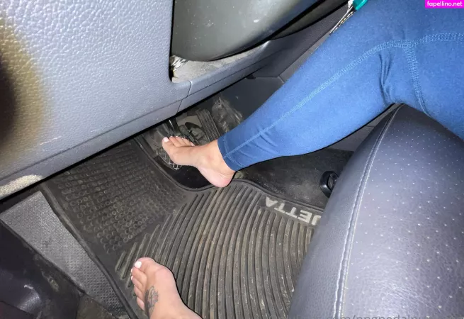 Ppgpedalpumping OnlyFans Thumbnail #eIn1on1eHy