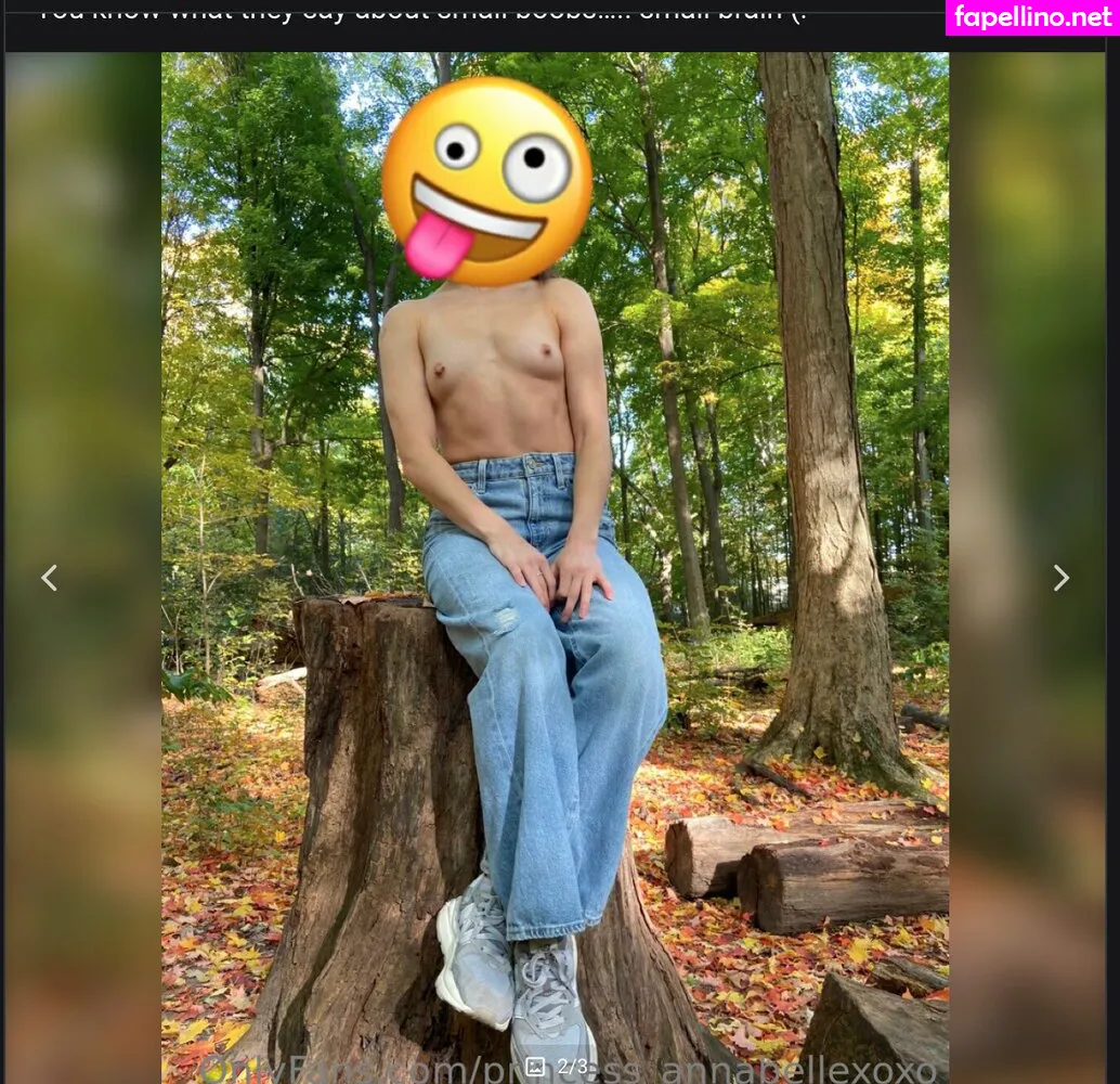 holyfrickjess, iamestellabella_xo, princxss.xoxo Nude Leaked OnlyFans Photo #MroT44lpTh