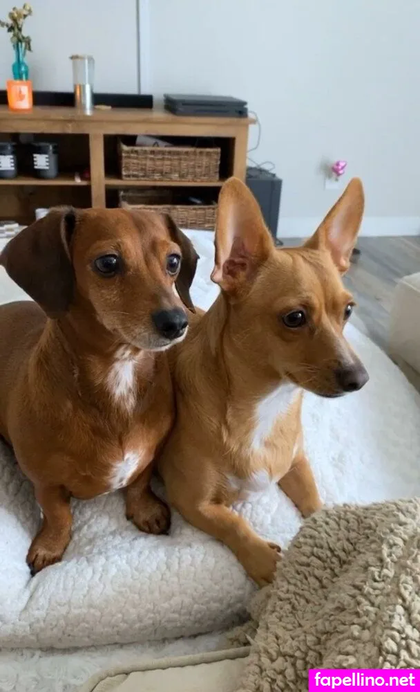 maryyberrymentoss, princesslilmary Nude Leaked OnlyFans Photo #bRGsjpRfsd