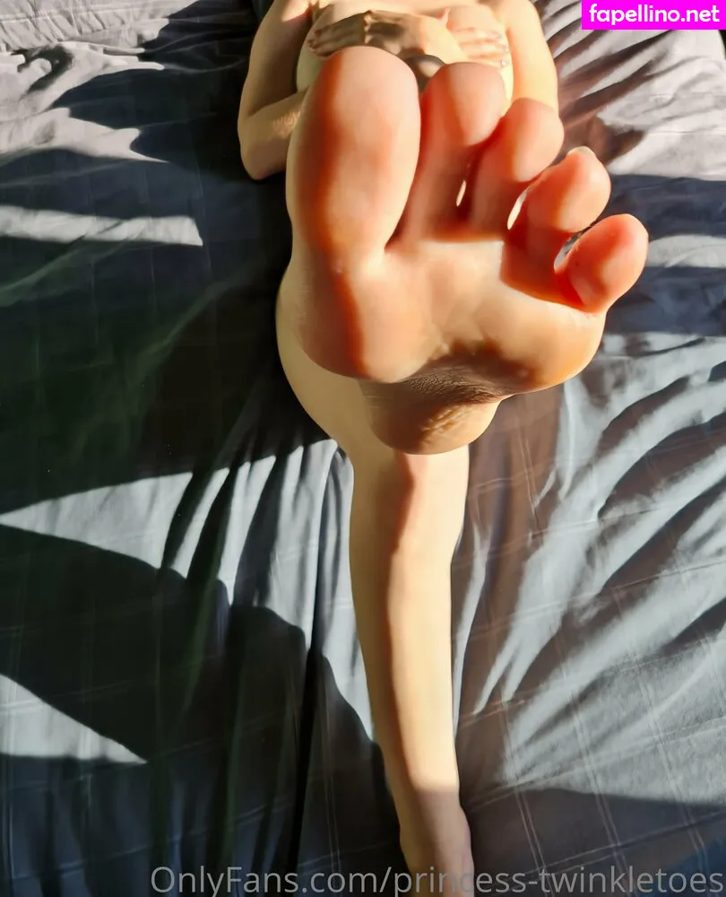 _princesstwinkletoes_, princess-twinkletoes Nude Leaked OnlyFans Photo #GD8HIWueTU