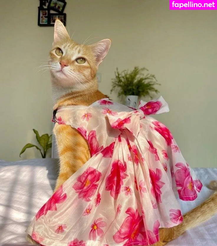 princesscamvip, thevipprincess Nude Leaked OnlyFans Photo #B7P37ZBj68