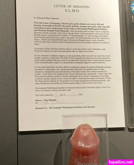 Princessaugustine OnlyFans Thumbnail #iK0cSGaOKe